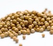 Coriander Seed